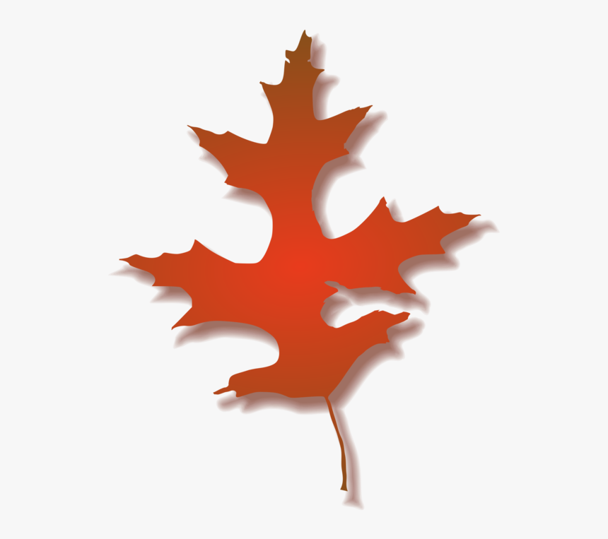 Tree,plant,flowering Plant - Autumn Oak Leaf Clipart, HD Png Download