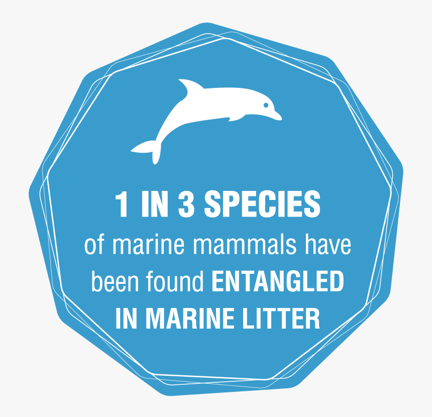 Plastic Pollution Ocean Transparent, Hd Png Download - 1 In 3 Species Of Marine Mammals Have Been Found Entangled, Png Download