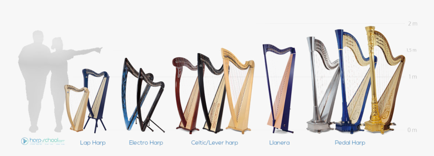 Harp Png Free Download - Baby Harp, Transparent Png