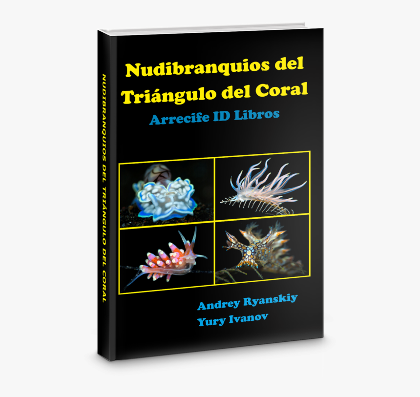 Nudibranchi Libri, HD Png Download