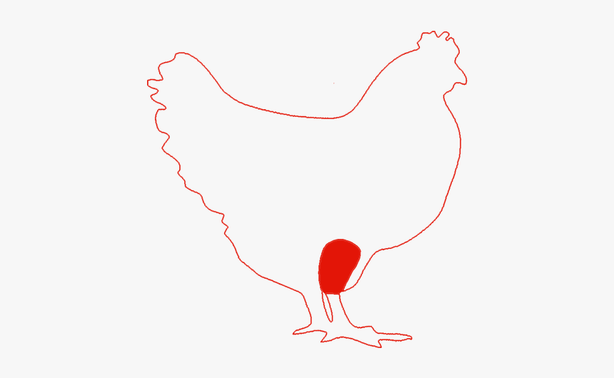 Rooster, HD Png Download