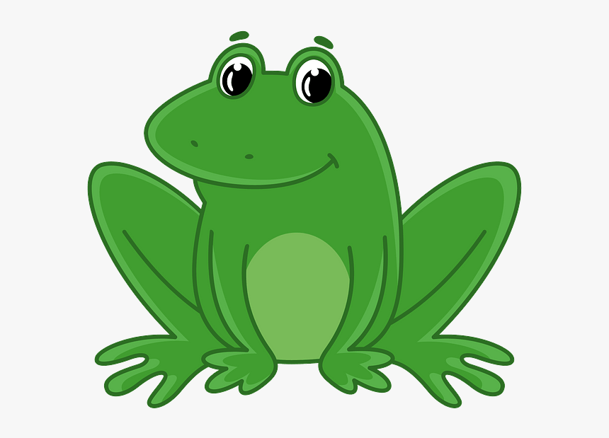 Bullfrog, HD Png Download