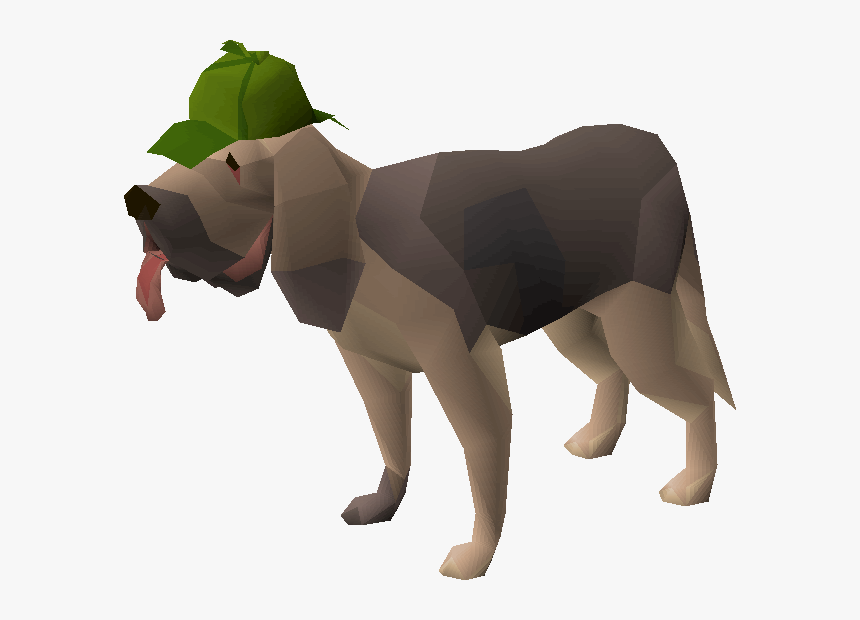 Old School Runescape Wiki - Osrs Clue Scroll Pet, HD Png Download