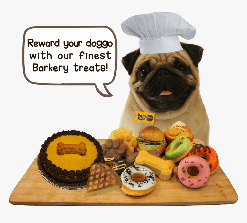Pug, HD Png Download