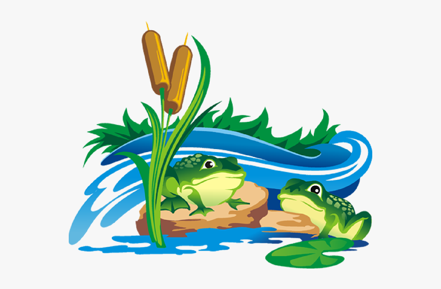 Frogs Clipart Clear Background - Cat Tail Plant, HD Png Download