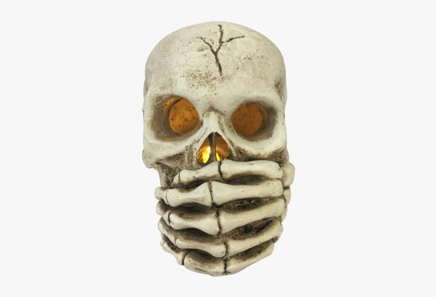 Skull, HD Png Download