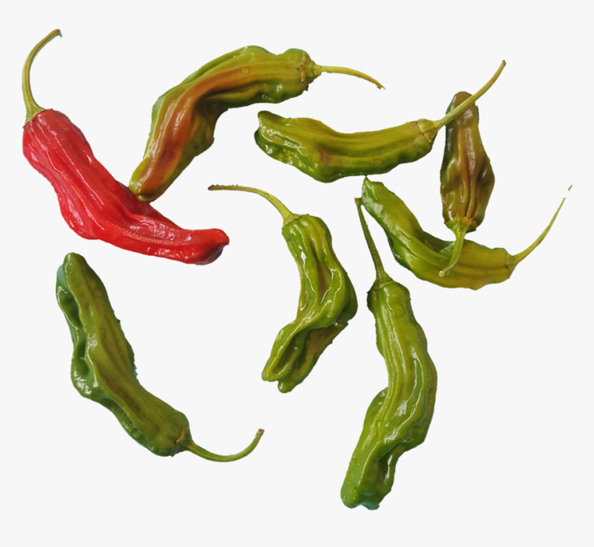 1531937342226 - Bird's Eye Chili, HD Png Download