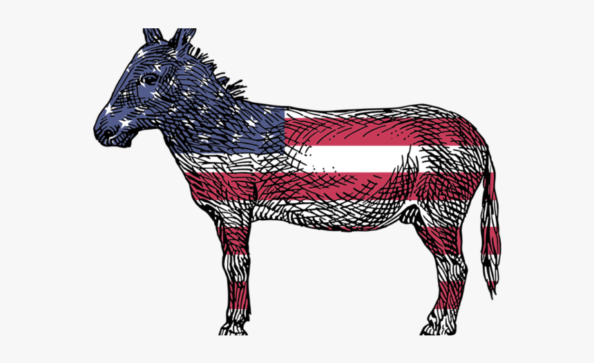 American Donkey, HD Png Download