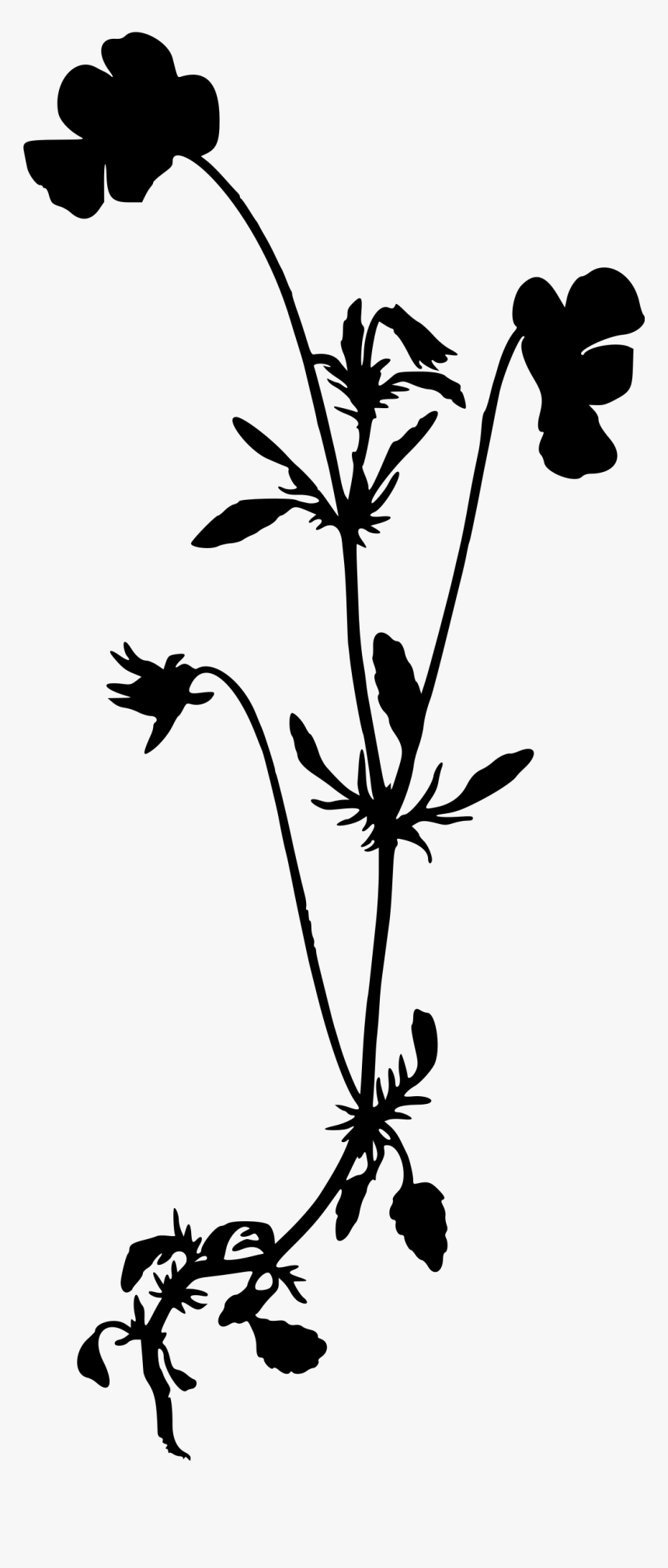 Heartsease Silhouette Big Image Png Silhouette Of A- - Silhouette Wildflower Clipart Black And White, Transparent Png