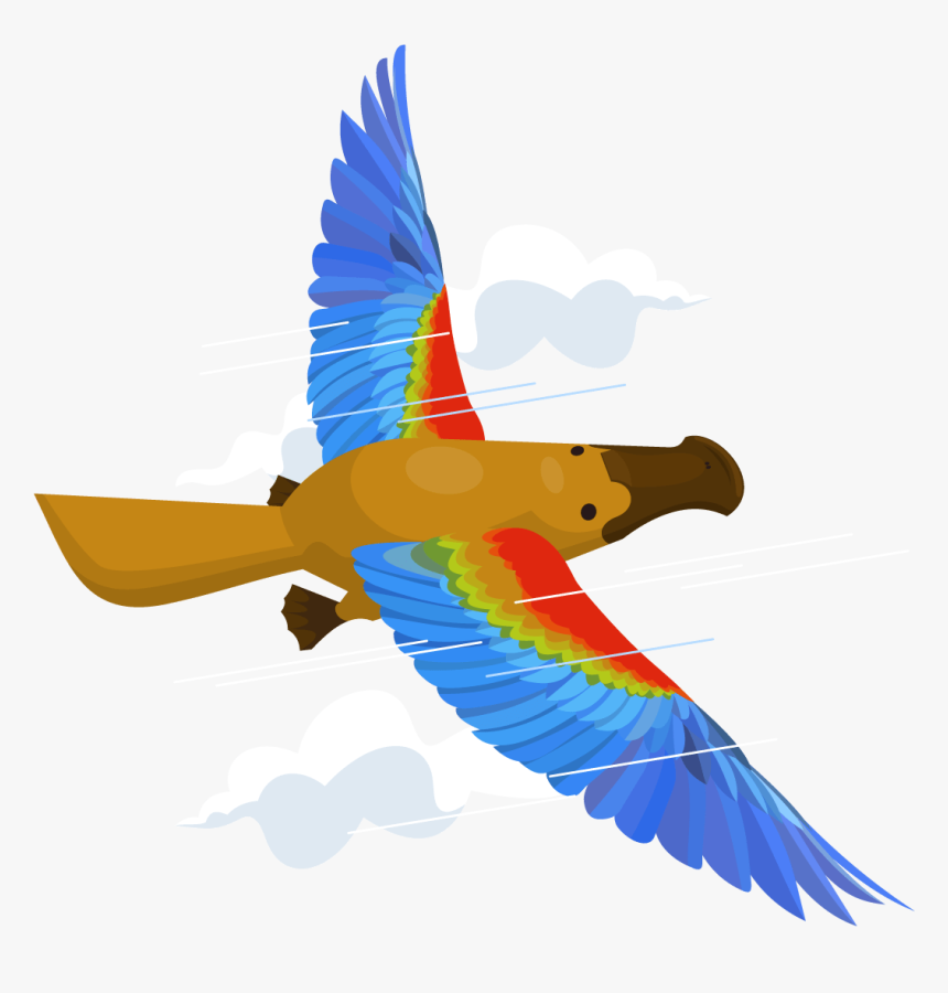 Macaw, HD Png Download