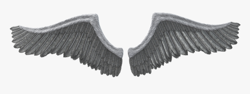 Canvas, HD Png Download