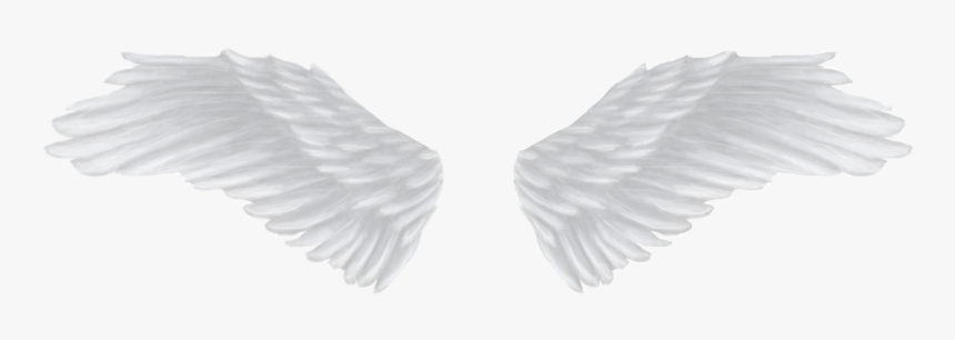 White Angel Wings Png, Transparent Png