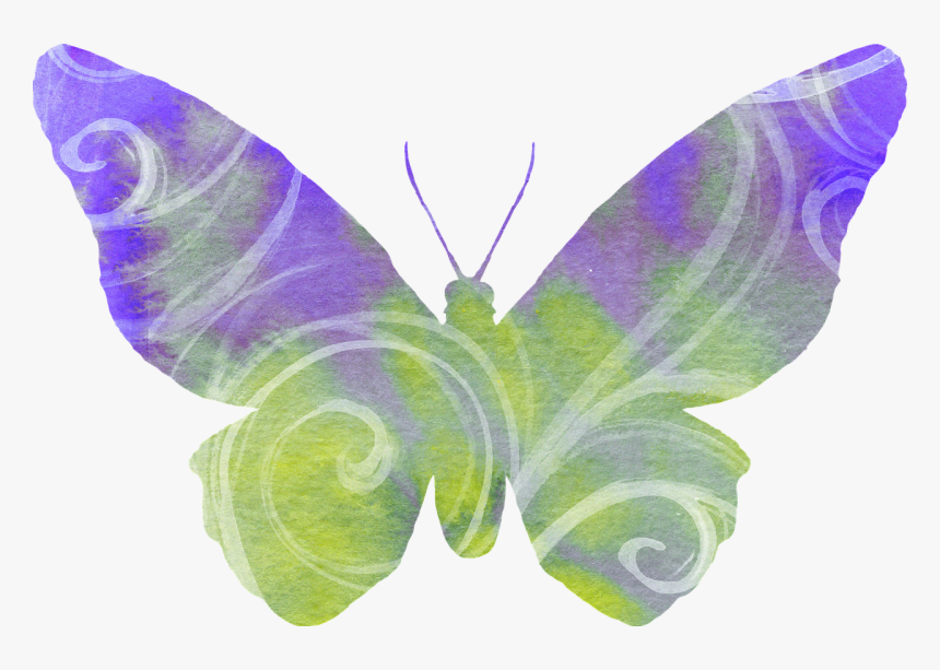 Green And Purple Butterfly Clipart, HD Png Download