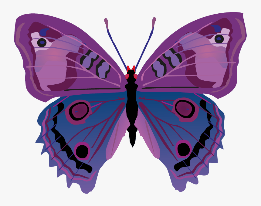 Butterfly Png Images Png - Cartoon Butterflies, Transparent Png