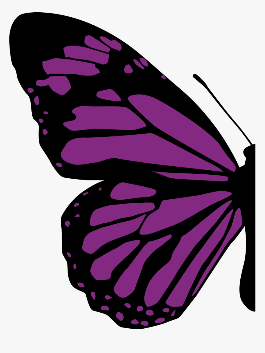 Half Of Butterfly Png, Transparent Png