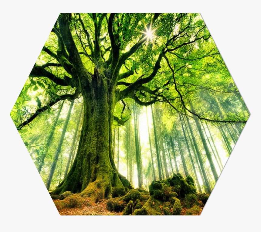 Bedroom Wall Painting Art, HD Png Download