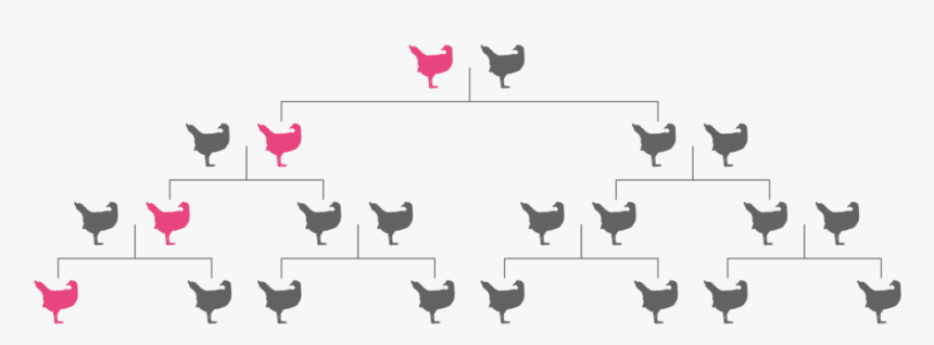 Pink Gene Doesn T Spread - Rooster, HD Png Download