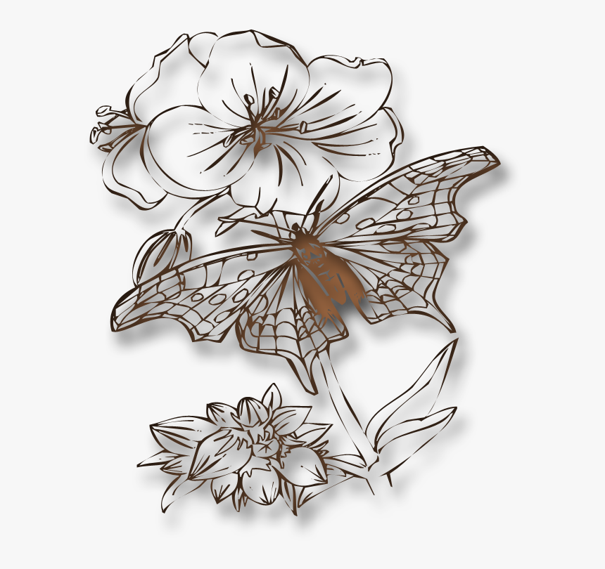 Swirl Png Transparent 800 X - Butterflies To Color, Png Download