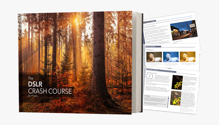 Joseph Smith's Prayer Hd, HD Png Download