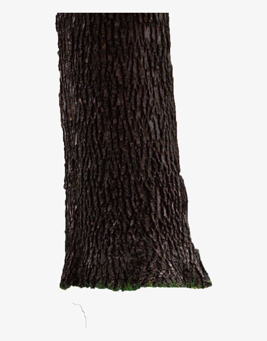 Scarf, HD Png Download