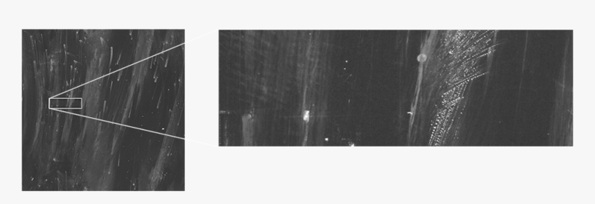 Dynamicrange - Monochrome, HD Png Download