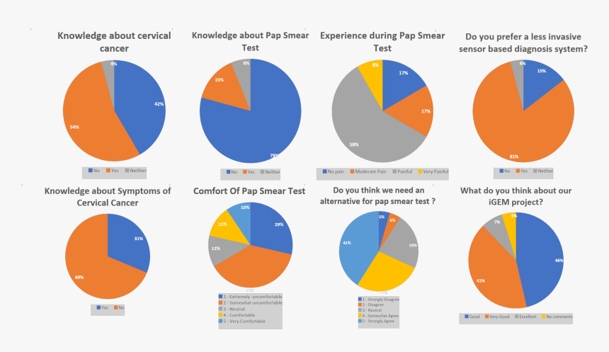 Circle, HD Png Download