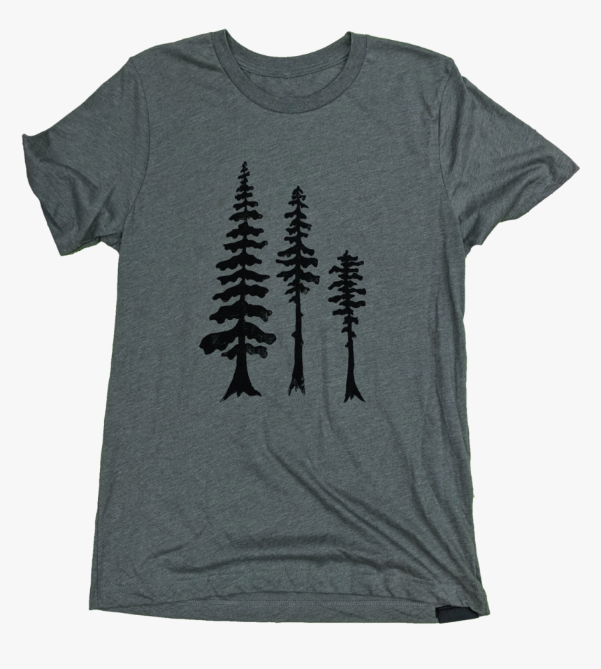 Shortleaf Black Spruce, HD Png Download