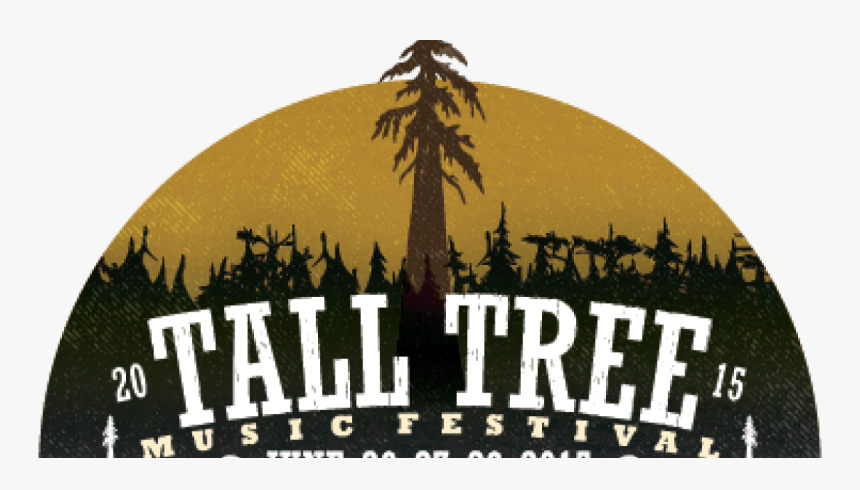 Pine Tree, HD Png Download