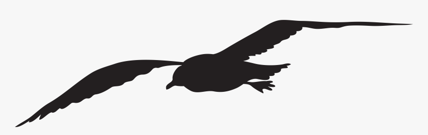 Gulls Silhouette Bird Clip Art - Seagull Clip Art, HD Png Download