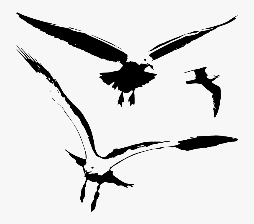 Transparent Birds Silhouette Png - Svg Seagull Silhouette, Png Download
