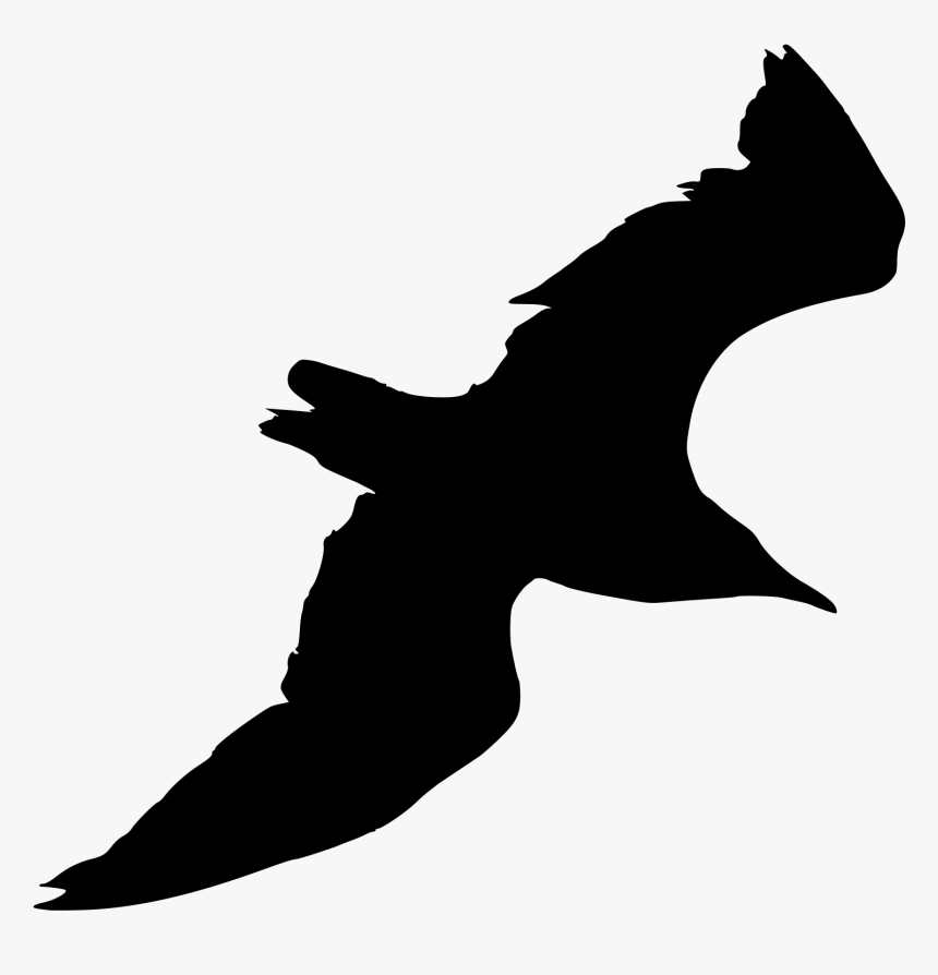 Transparent Seagull Clipart Black And White - Silhouette Seagull Png, Png Download