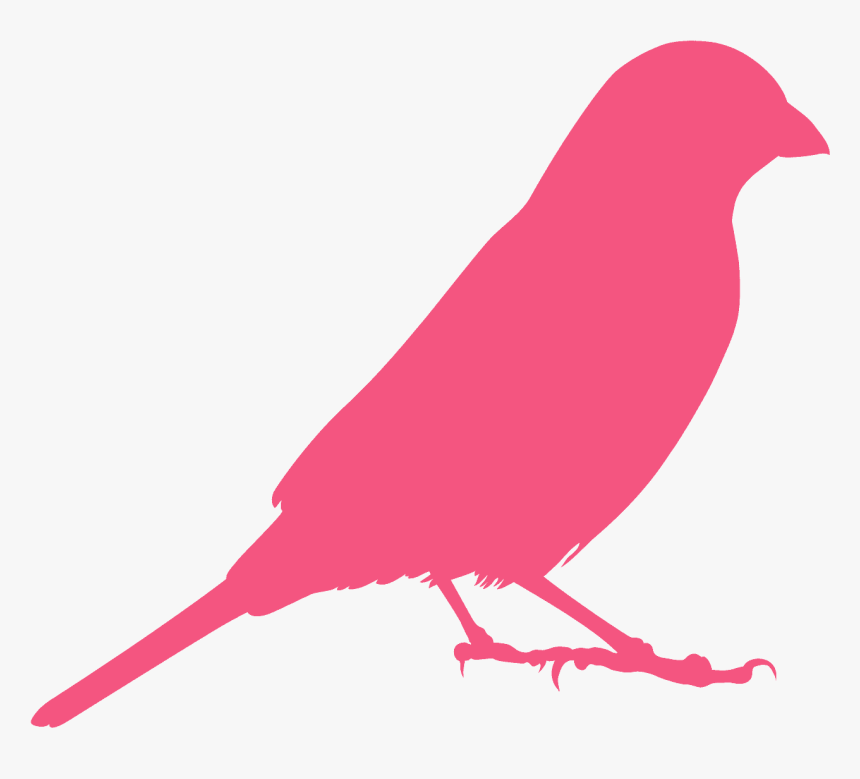 Outline Of Indigo Bunting, HD Png Download