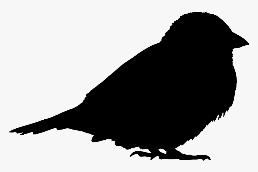 Filesparrow Silhouette - Sparrow Silhouette, HD Png Download