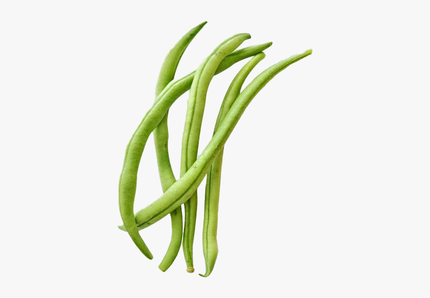 Green Beans Png Free Image - Garden Beans Clipart, Transparent Png