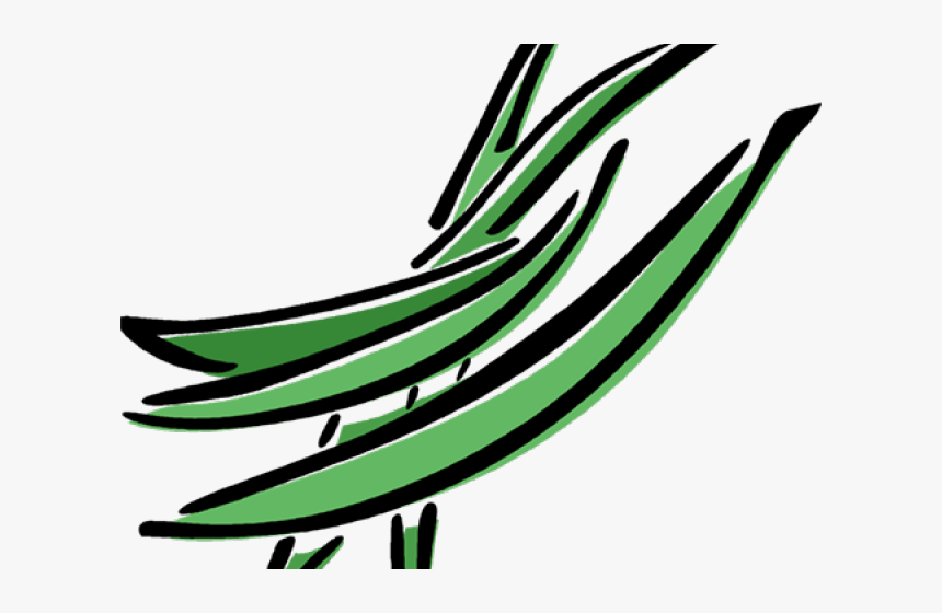 Bean Clipart Cool Bean - Clipart Green Beans Png, Transparent Png