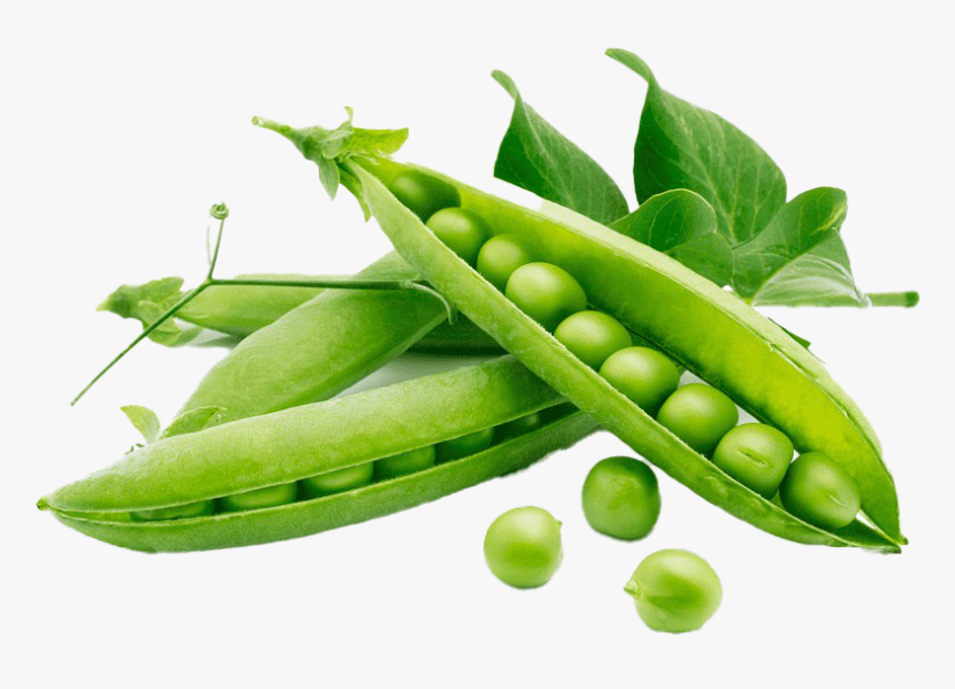 Green Beans Png Download Image - Peas Rich In Protein, Transparent Png