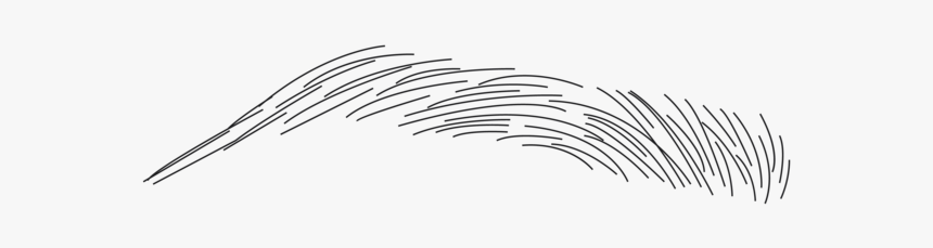 Bf Instagram 2-10 Copy - Sketch, HD Png Download