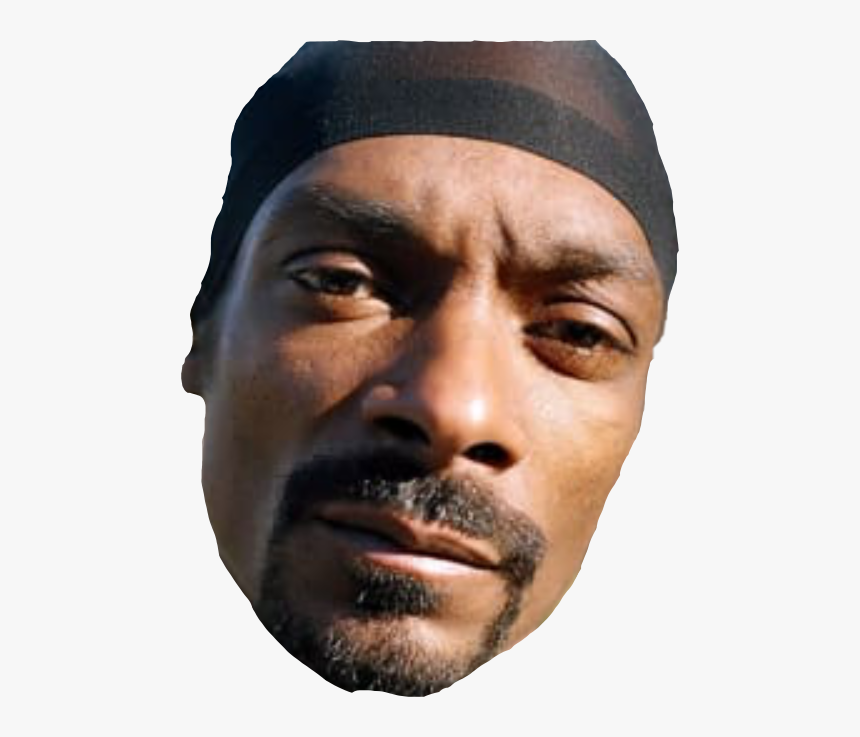 #snoopdogg #dad #daddyslittlegirl #freetoedit - Snoop Dogg Snitch Paperwork, HD Png Download