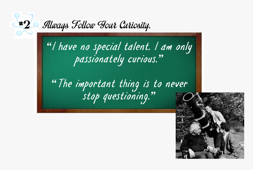 Dressage, HD Png Download