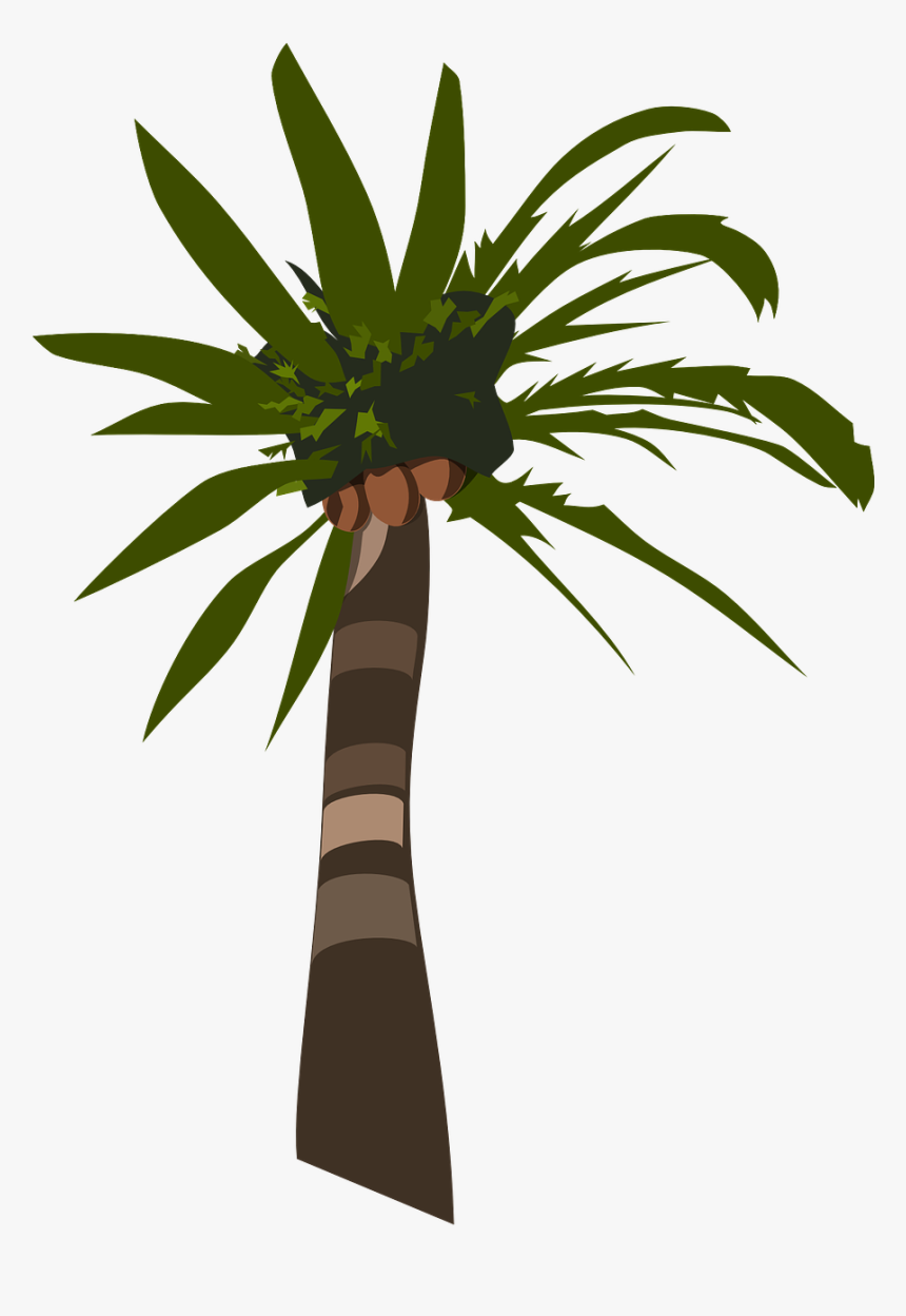 Palm Tree Clip Art, HD Png Download