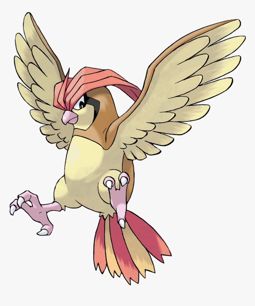 Pidgeotto Png, Transparent Png