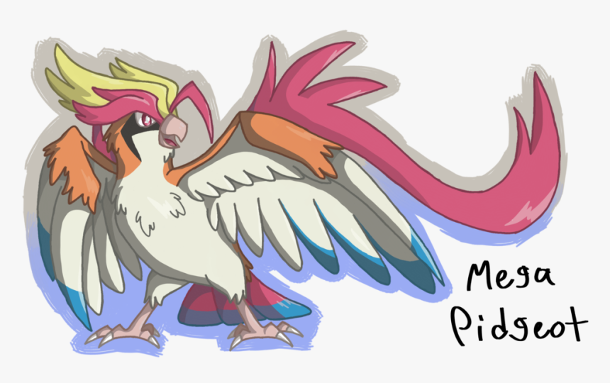 Mega Pidgeot By Https - Eagle, HD Png Download