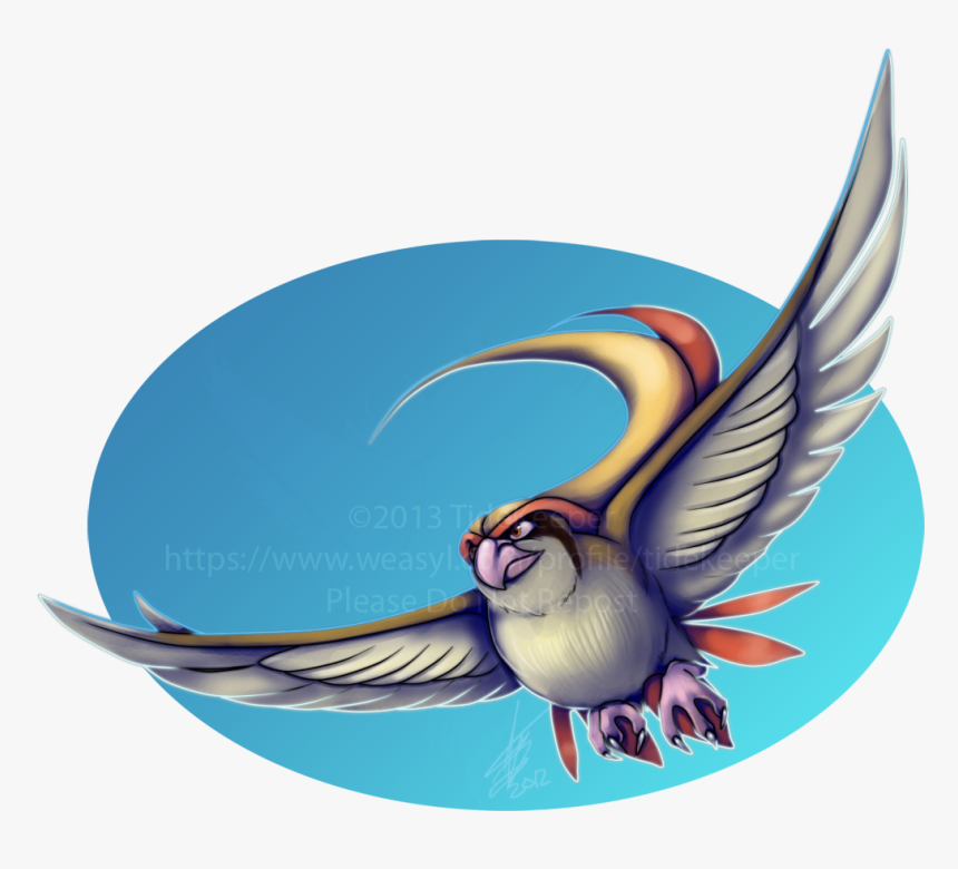 European Swallow, HD Png Download