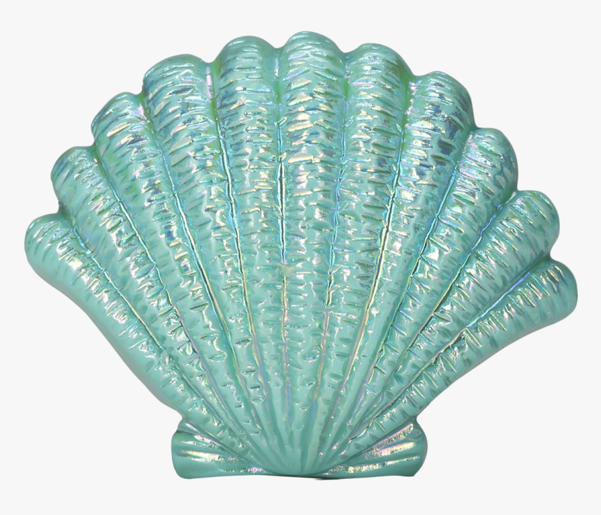 Blue Seashell Png Image - Transparent Sea Shell Png, Png Download