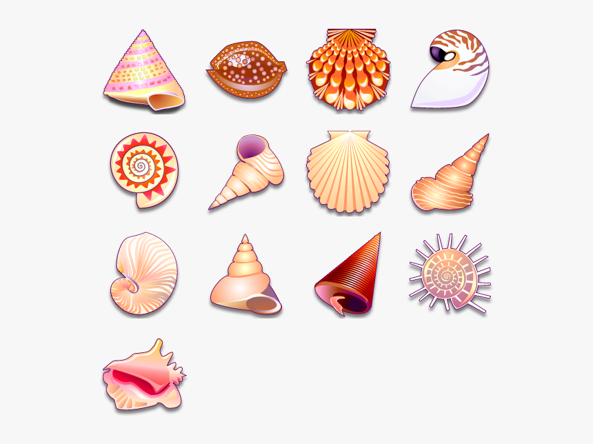 Thumb Image - Sea Shell Vector Png, Transparent Png