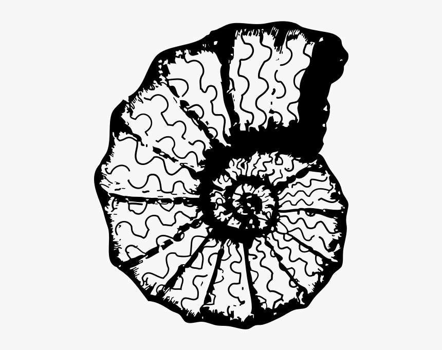 Vector Monochrome Image Of A Sea Shell - Sea Shell Clip Art, HD Png Download