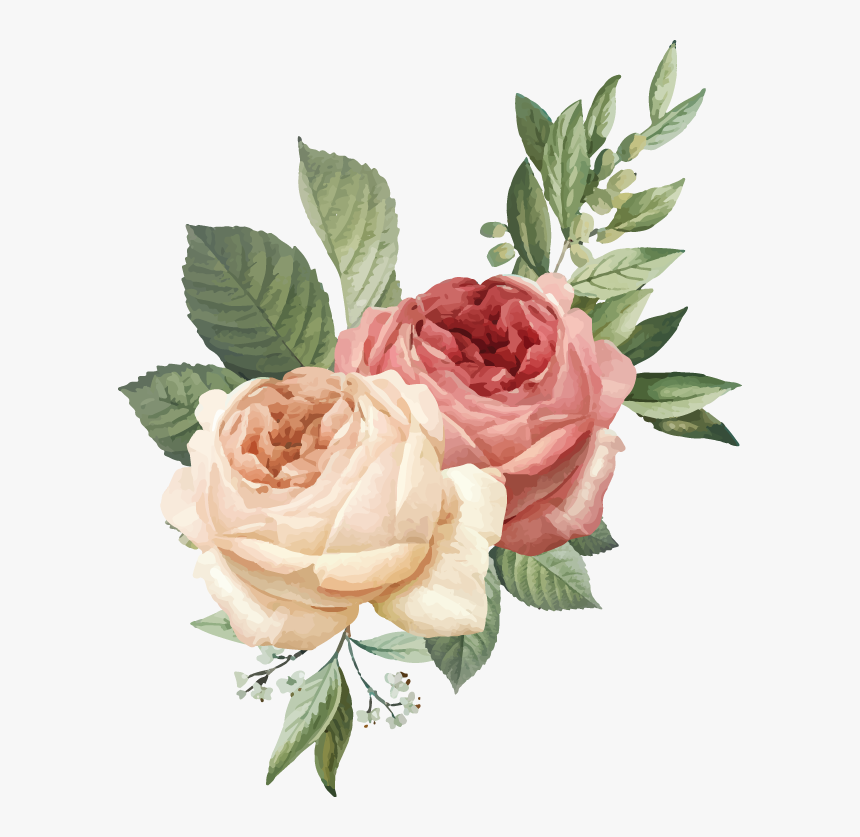Floribunda, HD Png Download