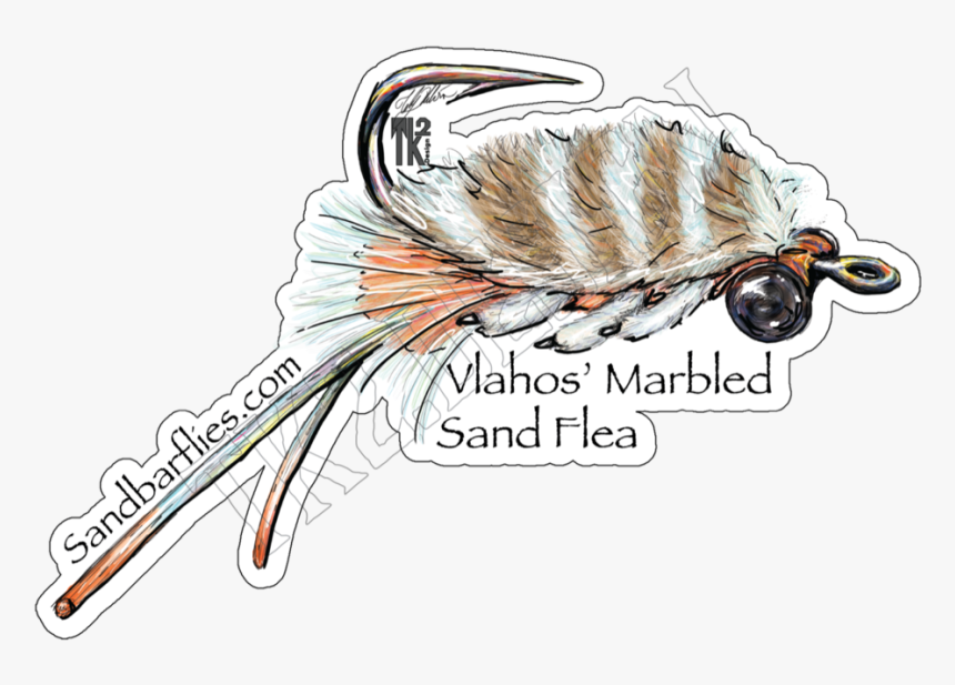 Sandfleastickerlogo, HD Png Download