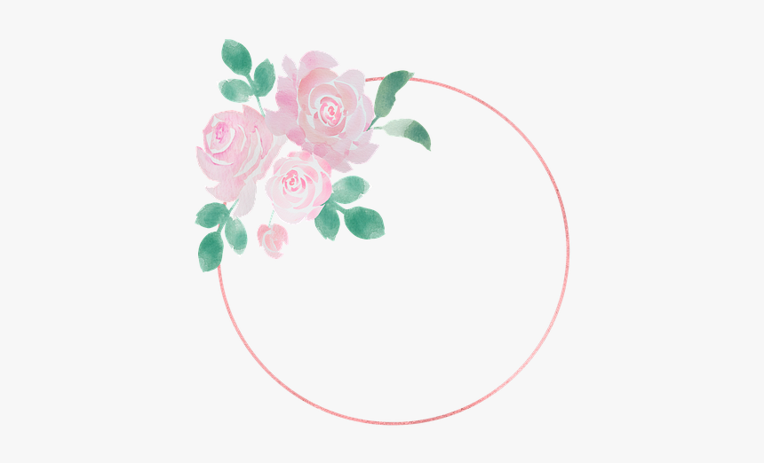 Garden Roses, HD Png Download