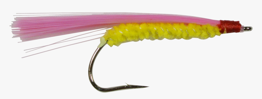 Invertebrate, HD Png Download